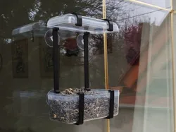 Ferrero Rocher box window bird feeder