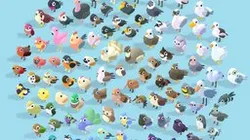 Quirky Series - Birds Bundle