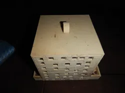 Beehive
