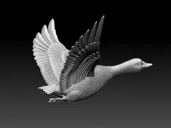 goose