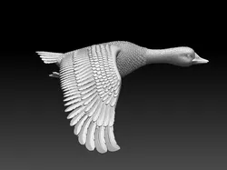 goose