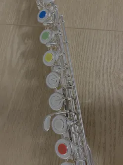 Beginner Flute Key Plugs / Bouchon clés flûte traversière