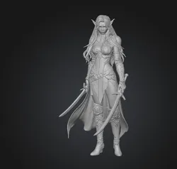 Elve warrios