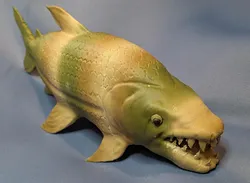 Hydrocynus goliath (Goliath Tigerfish)