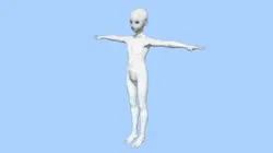 Male Anime Base Mesh