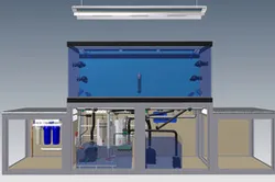 Marine Aquarium 2013