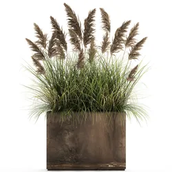 reeds in a rusty flower pot for the interior 934
