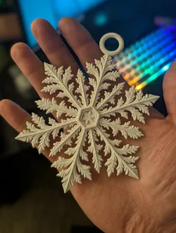 Snowflake Wall Decor and Ornament Set