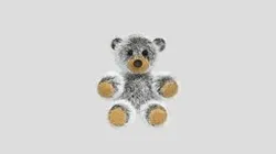 teddy