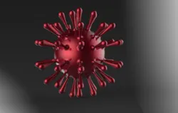 Corona Virus (Covid 19)