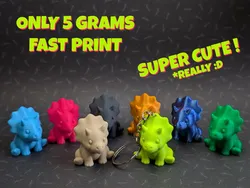 Cute Mini Triceratops + Keychain