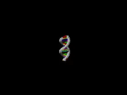 DNA Strand