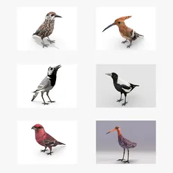 european birds bundle