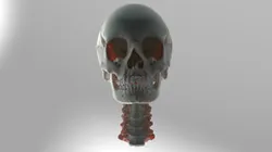 Human Anatomy V3 - Male (Life Sciences Japan, BodyParts3D Source)