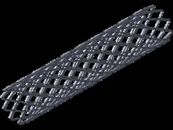 stent