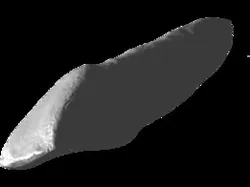 Teeth
