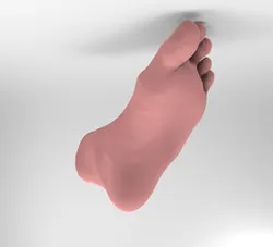 3D Scanned Flat Foot (Left)