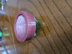 Bottle bottom lid