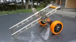 Cat Wheelchair