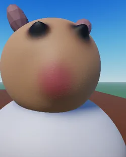 Cute Hamster