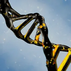 DNA