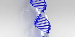 DNA Strand