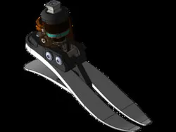 Hydraulic Ankle