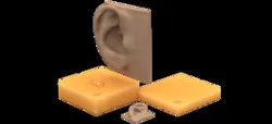 Mold for an Ear | TRINOTA