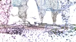 Point Cloud Park