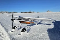 Snow Ski for E-FLITE - Night TimberX Evolution