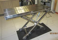 Veterinary Surgical Table