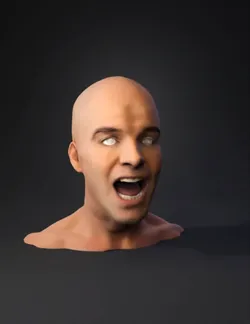bald human head bust with neck and shoulders skin tones and subtle sh