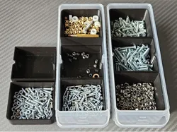 Cells for Organizer