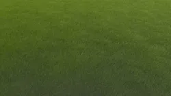 Grass soccer field with Low-poly 3D model