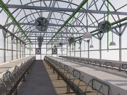 Greenhouse 3D model