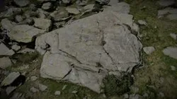 H189.23 - Cup marked stone Rasen - Antholz
