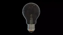 Light Bulb 3D model