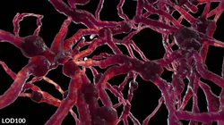 Organic Tissue