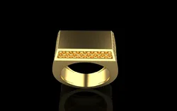 Signet ring model 1020 3D Print Model in Rings 563284
