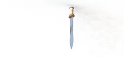Mainz Gladius