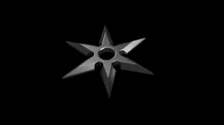 Ninja Star