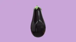 Eggplant