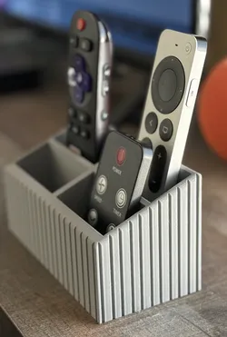 Modern Remote Organizer