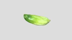 Stew Cucumber