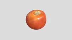 Tomato
