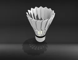 Badminton Feather (shuttlecock)