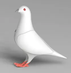 Bird Pigeon mould component made by solid work