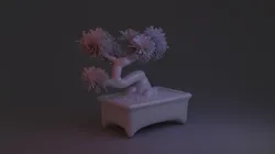 bonsai tree