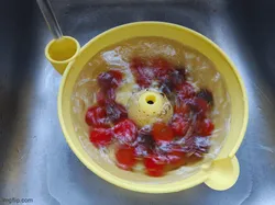 HydroSpinner Family Size Water Powered Fruit/Berry Washer