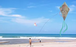 kites